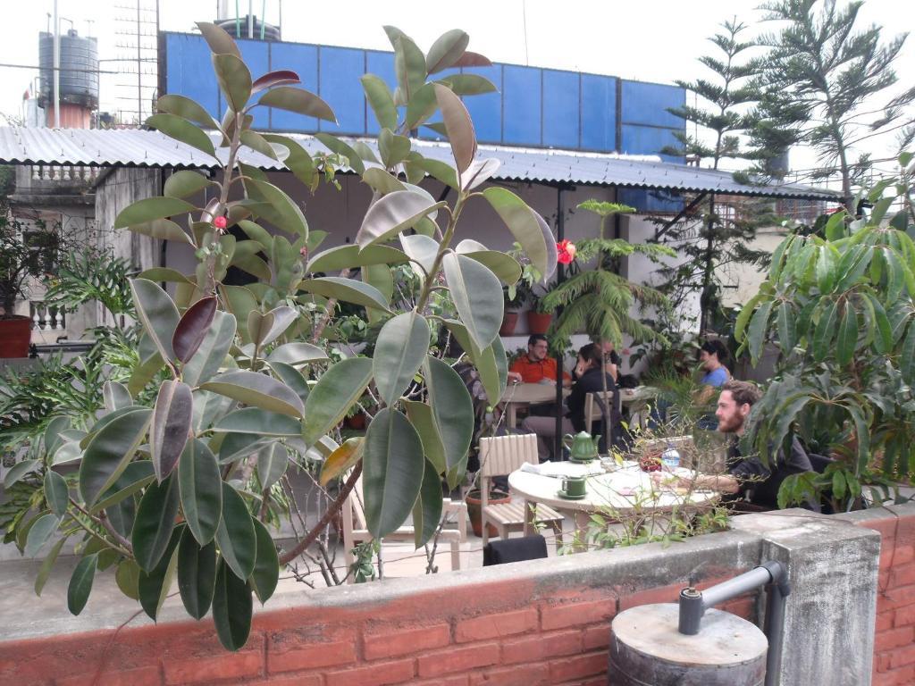 Holy Land Hotel Nepal Katmandou Extérieur photo